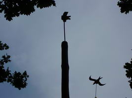 vogel bevolkingschieten